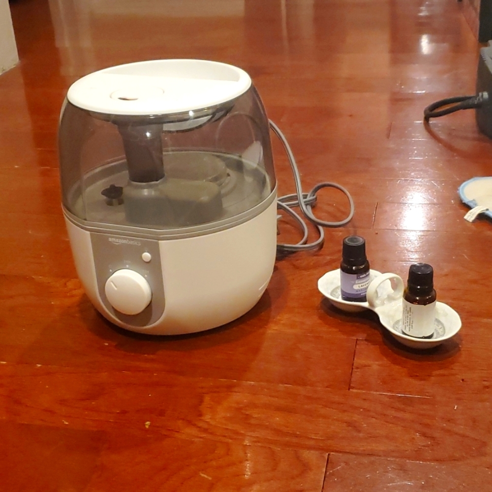 Completely Functional Amazon Basics Diffuser